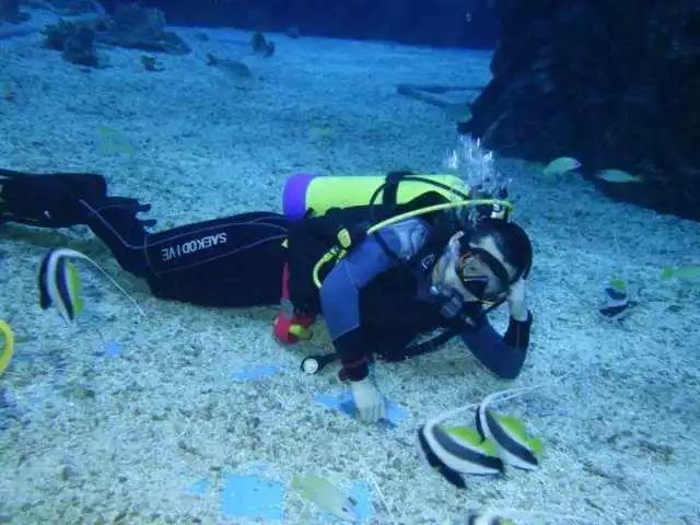 探讨交流,尽在石岩泰科厂区里面有没有乒乓球台?